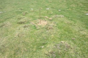 Cromlech Illobi 1   (Mayo 2017)