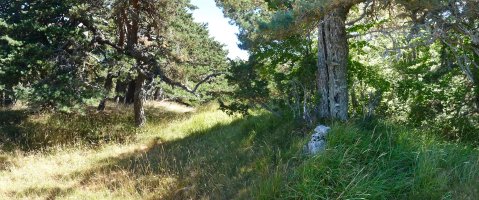 Igardakuako gailurra