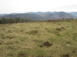 Cromlechs Almitxuri  (Enero 2016)