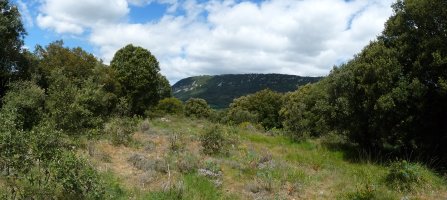 Aiorbeko gailur xumea, Lete gainean