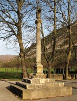 Irantzu kruzeroa, Abartzuza