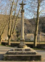 Irantzu kruzeroa, Abartzuza