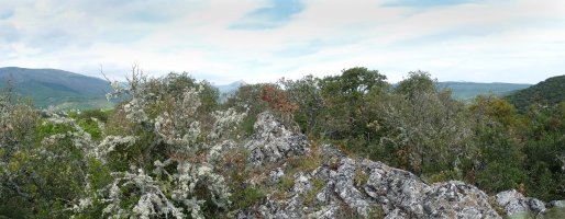 Garbalekuko hairrizko gailurra