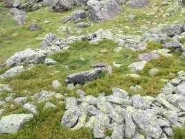 la hourquette de larry 2