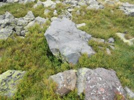 la hourquette de larry 2