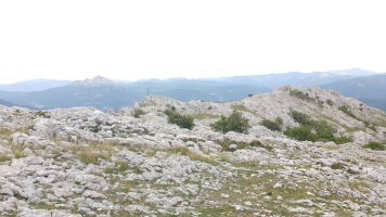 Kurtzeberri Elorretatik