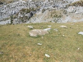 Lecherín Bajo trikuharria