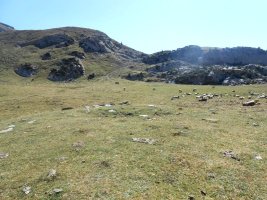 Lecherín Bajo trikuharria