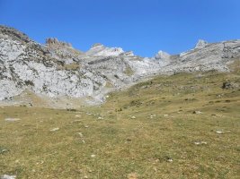 Lecherín Bajo trikuharria