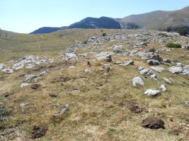 plano de la balsa harrespila