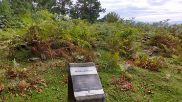 Aitzpuruko Zabala Trikuharria (2017)