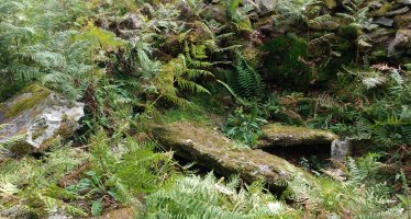 Aitzpuruko Zabala Trikuharria 4