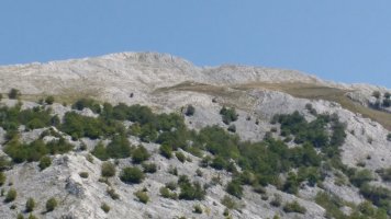 Aizkorriko mendilerroa