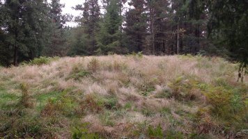 Tranpaluarri tumuloa