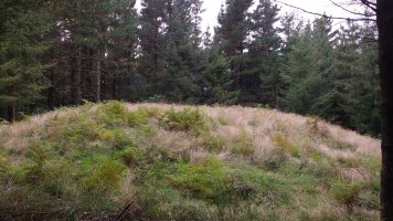 Tranpaluarri tumuloa