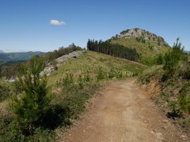 Bikotzganetik hurbiltzen den bidetik ikusita