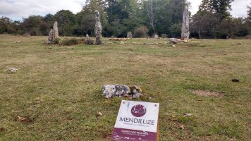 Mendiluze harrespila (2017)