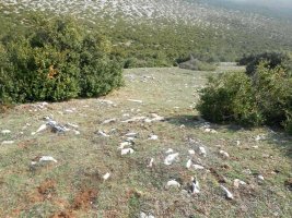 El Carrascal 1 eraztun-tumulua