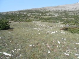 El Carrascal 2 eraztun-tumulua