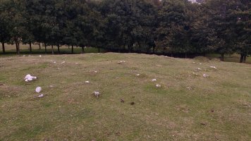 Gorostiaran Ek. tumuloa 2