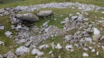 Aizkorritxo trikuharria 2