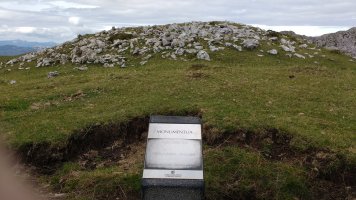 Aizkorritxo trikuharria (2017)