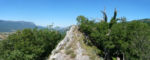 Aritzabal edo Urbarango gailurra