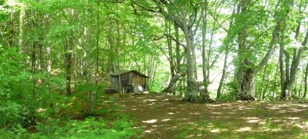 Matxinbarreneko borda