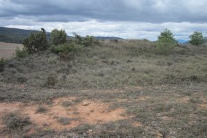 Túmulo San Quílez  (Septiembre 2017)