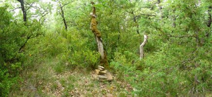 Muniaingo gailur itxia