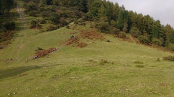 Pagobakarrra tumuloa 3