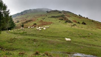 Samiñotxikia eta Samiño ekialdetik