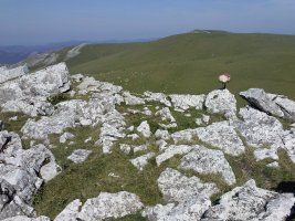 Arrubi tontorra (1325m)