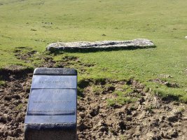 Saltarri zutarria (2017)