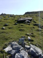 Irazustako lepoa zutarria (2017)