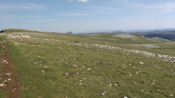 Beriain aldeko zelaia