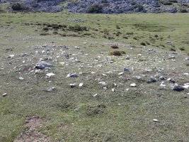 Fuente Fria (Iturriotz) trikuharria (2017)