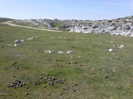 Balsa Fria (Idoiotz) 2 hego harrespila