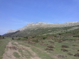 Beriain Lezizako mendartetik