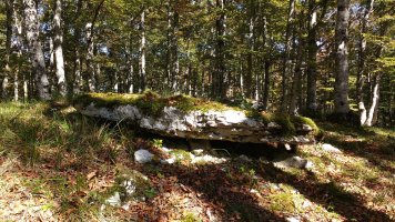 Lubierri 2 mendebal (Obas) trikuharria 6