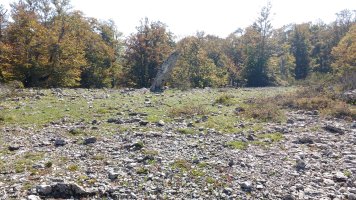 Bretxagaina (Mugako-Arriya) zutarria 4