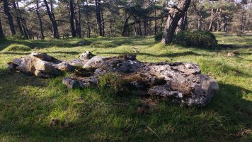 Sta. Marina (Txopordi) zutarria (2017)