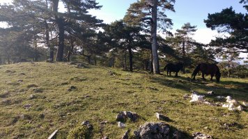 Sta. Marina (Txopordi) 1 Ipar tumulua