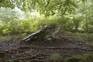 Soroibarren M (www.Txoperena.es)