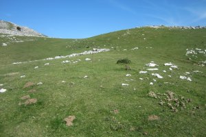 Cromlech Olamuño Oeste III (Septiembre  2017)