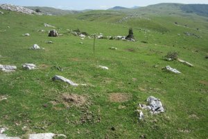 Cromlech Olamuño Oeste IV (Septiembre  2017)