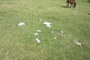 Cromlech Olamuño Sur (Septiembre 2017)
