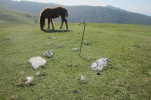 Cromlech Olamuño Sur (Septiembre 2017)