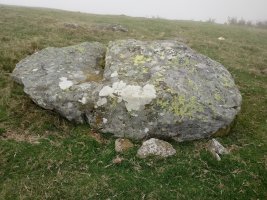 Pinpil I zutarria Milpiribil tontorretik gertu