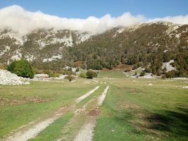 Oltzako zelaia eta bidea